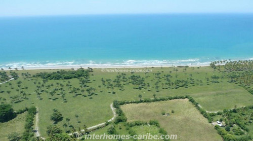 photos for LAS CANAS: LOT WITH 388 m SEAFRONT